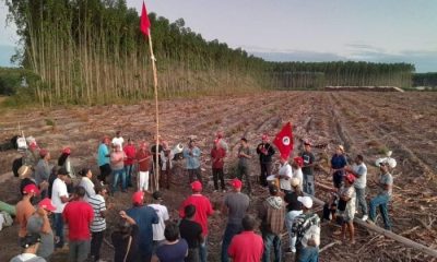 MST BAHIA/COMUNICAÇÃO/DIVULGAÇÃO